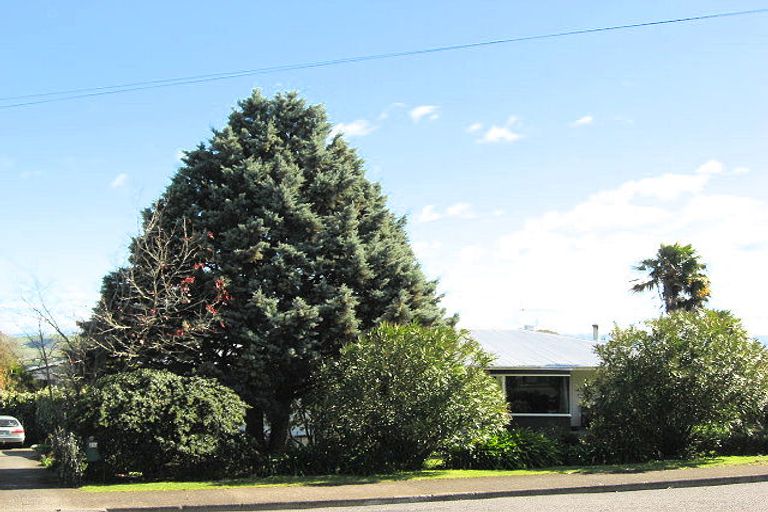 Photo of property in 25 Nelson Street, Waipukurau, 4200