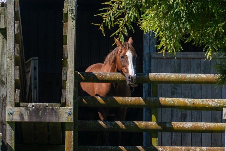 Photo of property in 691 Te Waerenga Road, Hamurana, Rotorua, 3096