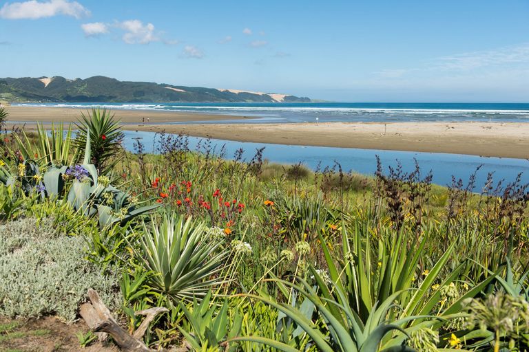 Photo of property in 14 Kotare Street, Ahipara, Kaitaia, 0481