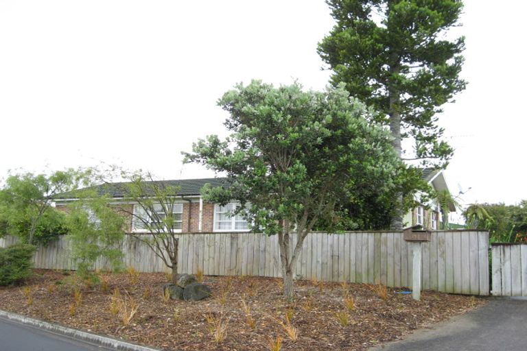 Photo of property in 15 Les Marston Place, Pukekohe, 2120