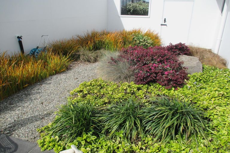 Photo of property in 11 Downs Road, Geraldine, 7930