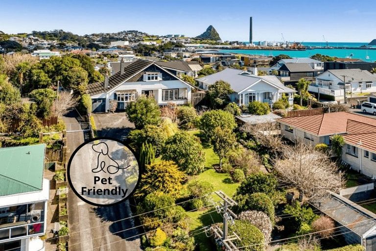 Photo of property in 4 Kitchener Terrace, Moturoa, New Plymouth, 4310