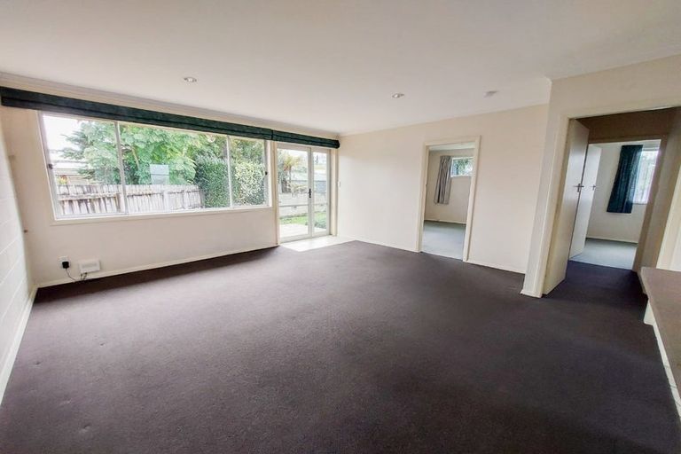 Photo of property in 8a Kowhai Street, Hamilton Lake, Hamilton, 3204
