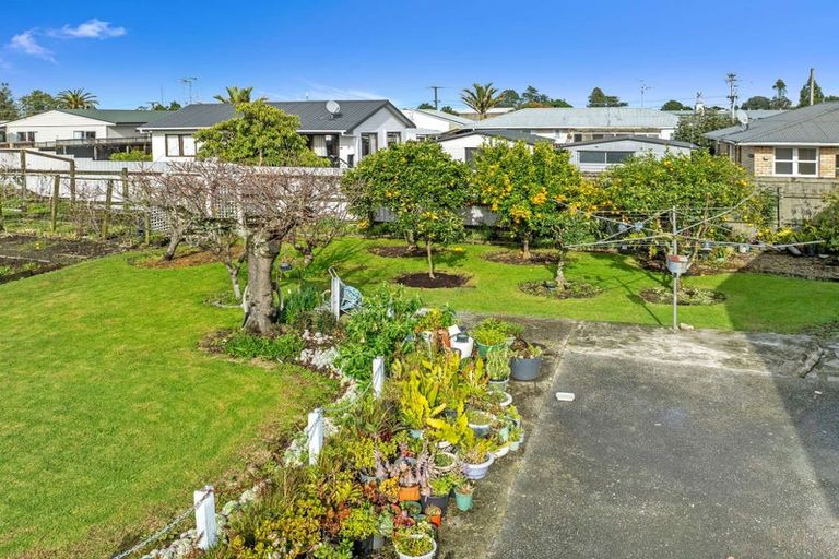Photo of property in 35 Sherson Street, Gate Pa, Tauranga, 3112
