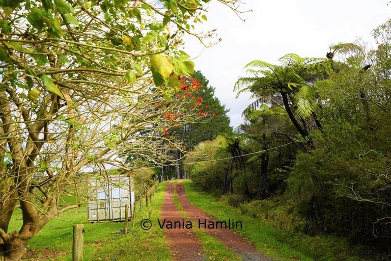 Photo of property in 533 Pataua South Road, Pataua South, Onerahi, 0192