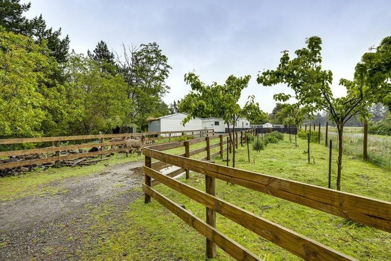 Photo of property in 2023 Puketitiri Road, Rissington, Napier, 4184