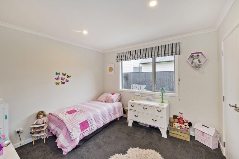 Photo of property in 96a Limbrick Street, Terrace End, Palmerston North, 4410