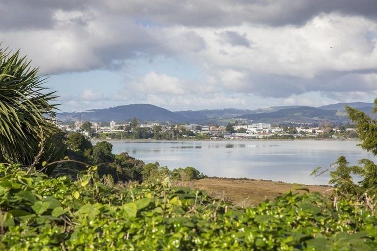 Photo of property in 68 Milton Road, Otumoetai, Tauranga, 3110