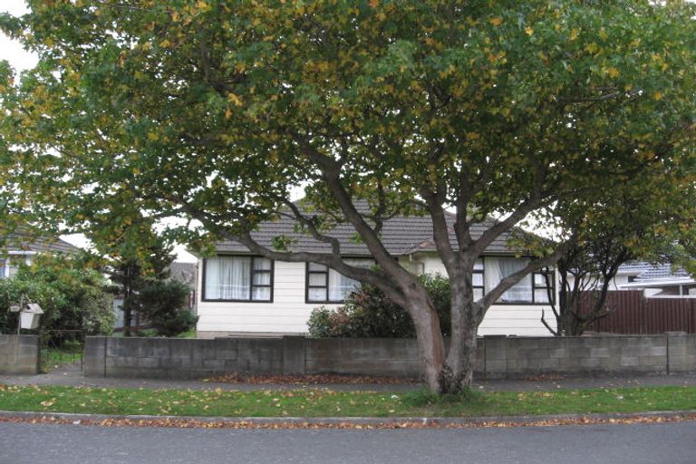 Photo of property in 45 Chapman Crescent, Naenae, Lower Hutt, 5011