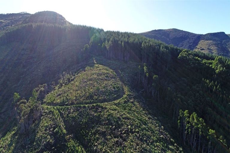 Photo of property in 90 Bachelors Road, Little River, 7591