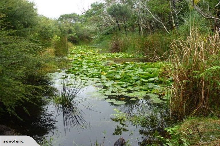 Photo of property in 355 Kimberley Road, Houhora, Pukenui, 0484