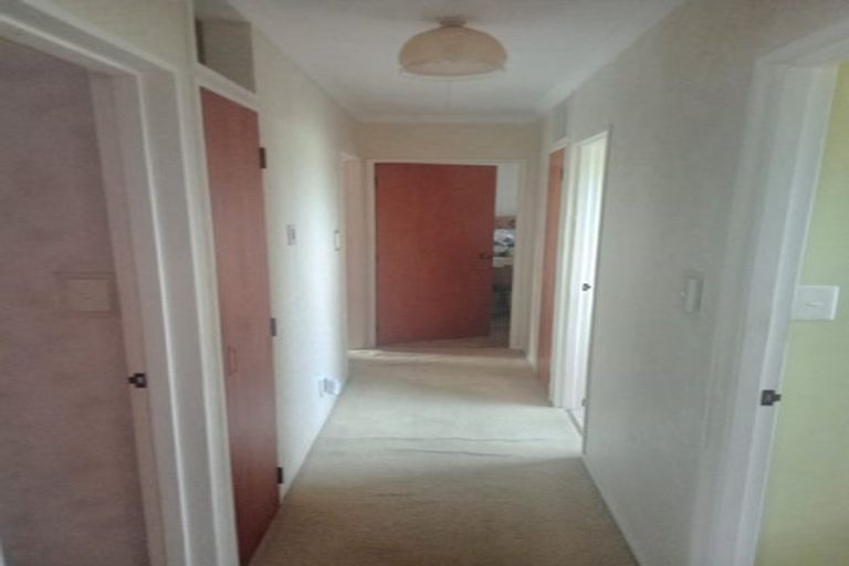 Photo of property in 37 Wellington Street, Opotiki, 3122