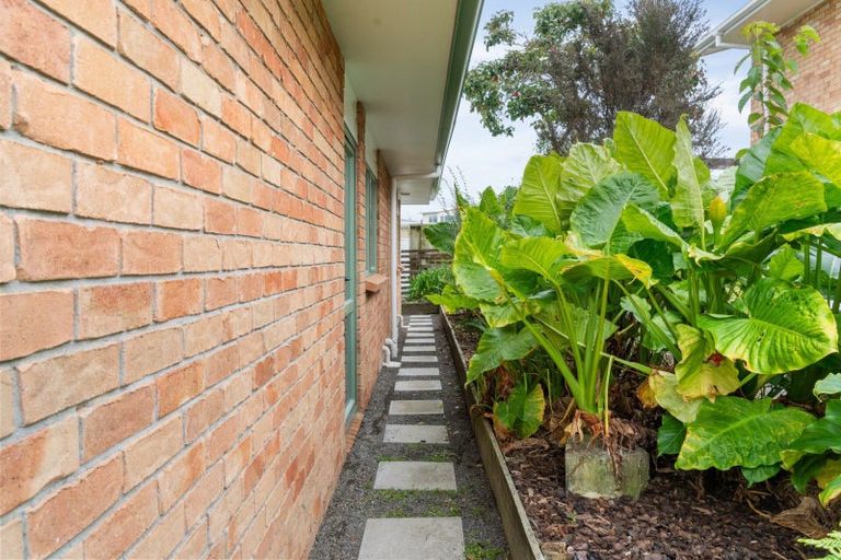 Photo of property in 36b Upland Street, Brookfield, Tauranga, 3110