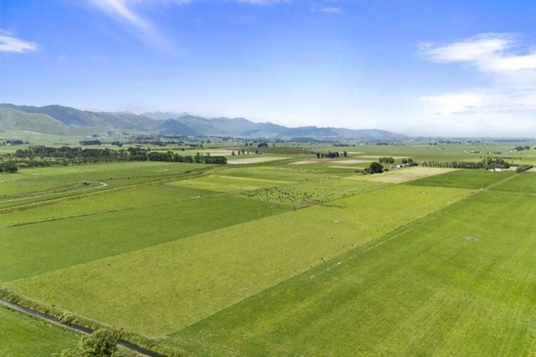 Photo of property in 145 Campbells Road, Pine Hill, Dunedin, 9010