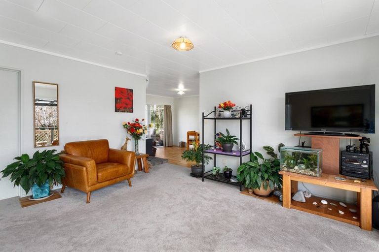 Photo of property in 9b Boyd Street, Katikati, 3129