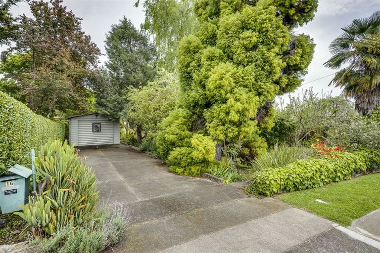 Photo of property in 16 Plassey Street, Havelock North, 4130