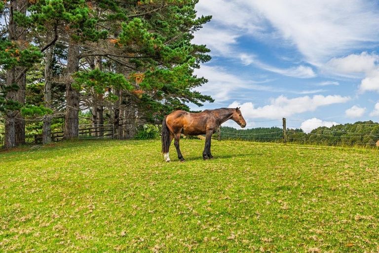 Photo of property in 103 Wilson Road, Wellsford, 0972