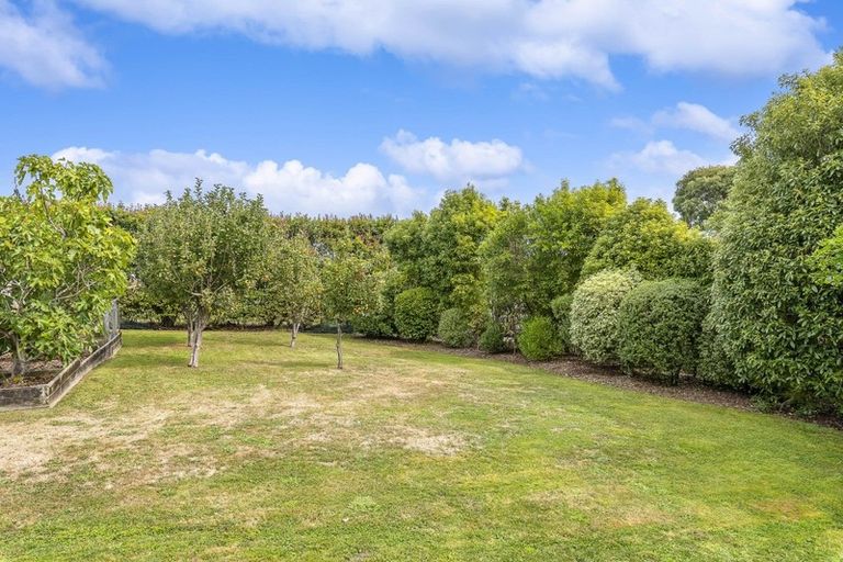 Photo of property in 46 Huia Street, Waikanae, 5036