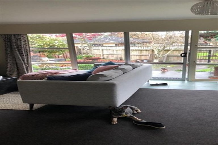 Photo of property in 43b Sillary Street, Hamilton East, Hamilton, 3216