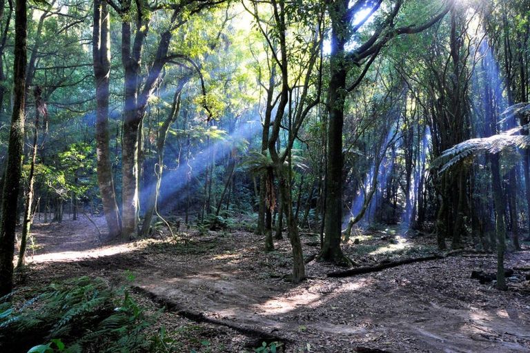 Photo of property in 805 Te Waerenga Road, Hamurana, Rotorua, 3096