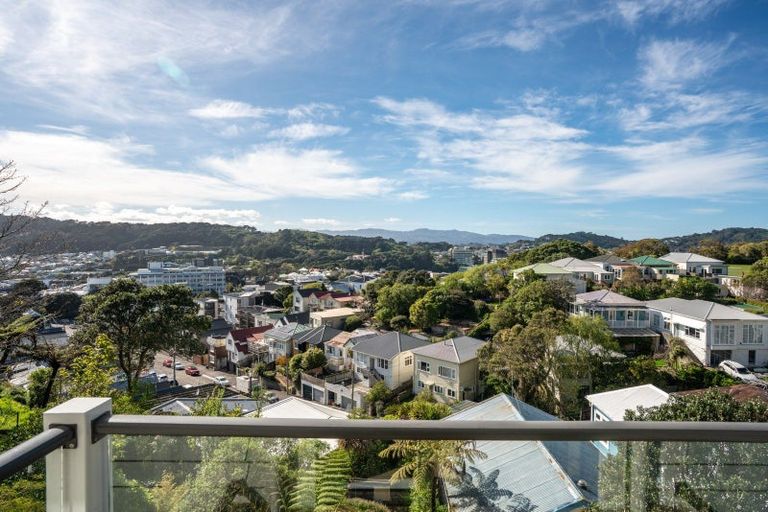 Photo of property in 5/45 Bidwill Street, Mount Cook, Wellington, 6021
