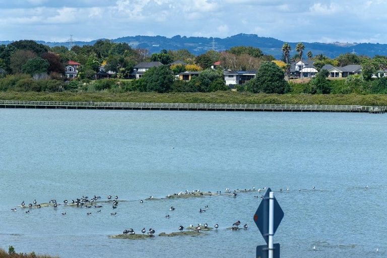 Photo of property in 121 Waituarua Drive, Takanini, Auckland, 2112