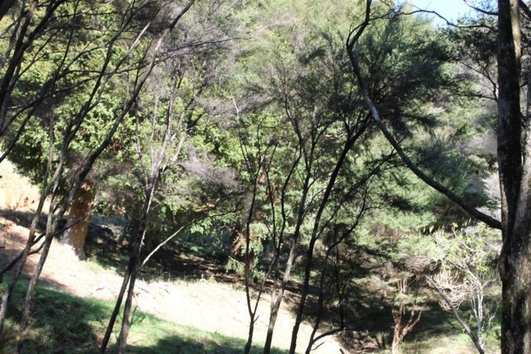 Photo of property in 86 Summer Road, Tinopai, Matakohe, 0593