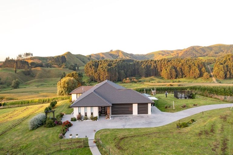 Photo of property in 43 Ellicott Road, Parawera, Te Awamutu, 3879