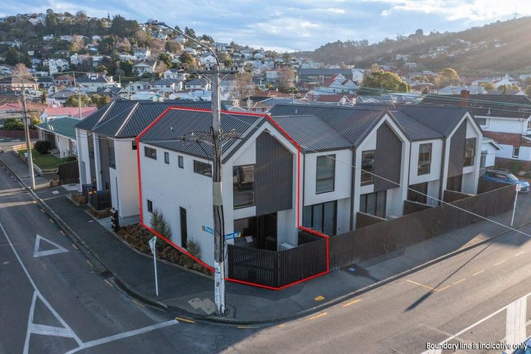 Photo of property in 30 Thorn Street, Caversham, Dunedin, 9012