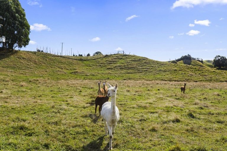 Photo of property in 696b Poutakataka Road, Atiamuri, Rotorua, 3077