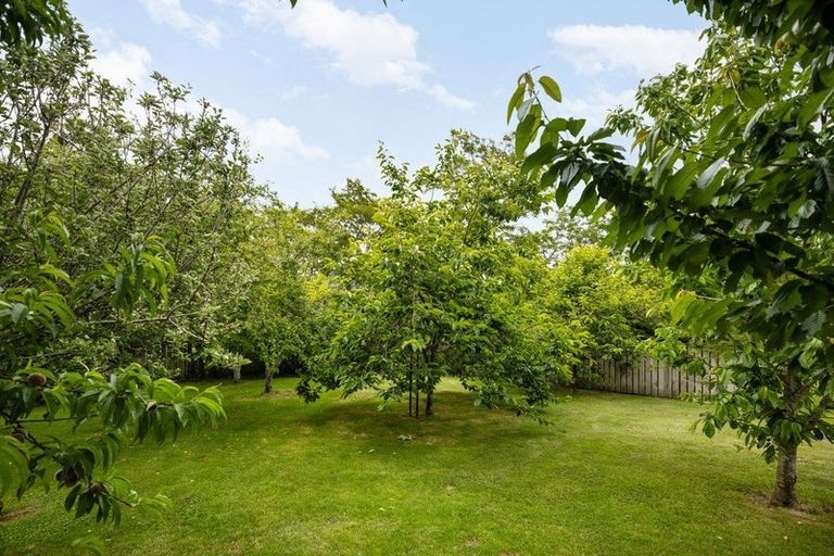 Photo of property in 150 Athlone Drive, Cambridge, 3434