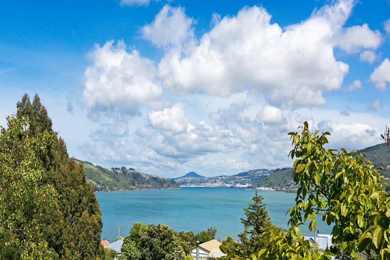 Photo of property in 30 Porterfield Street, Macandrew Bay, Dunedin, 9014