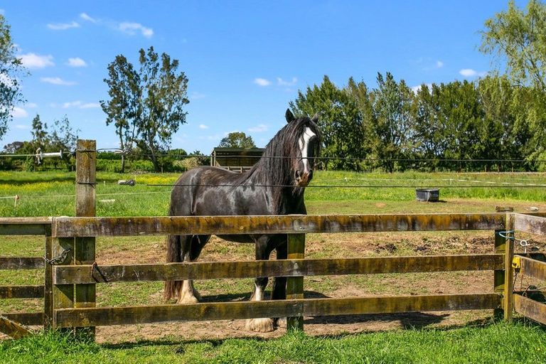 Photo of property in 179 Hautapu Road, Pukemoremore, Cambridge, 3493