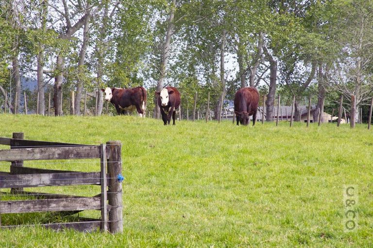 Photo of property in 832 Old North Road, Waimauku, 0882