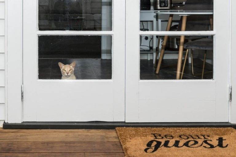 Photo of property in 34 Taylor Avenue, Feilding, 4702