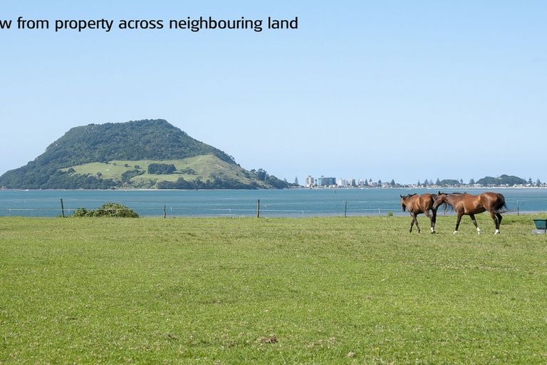 Photo of property in 197a Ngatai Road, Otumoetai, Tauranga, 3110