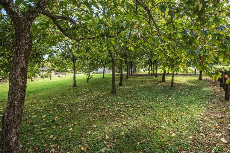 Photo of property in 587c Crane Road, Kauri, Kamo, 0185