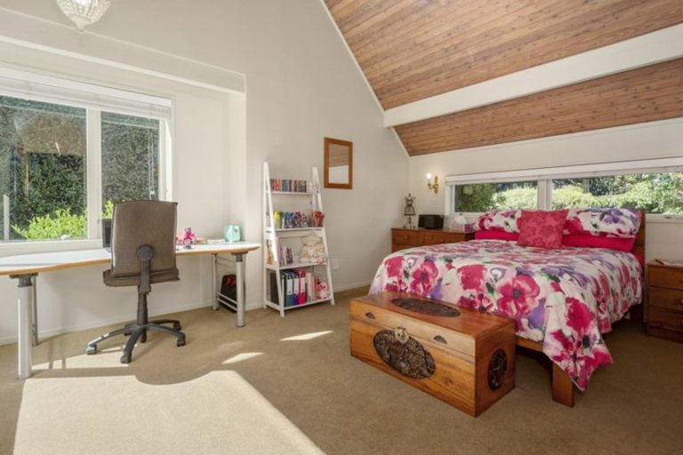 Photo of property in 261 Pahoia Road, Whakamarama, Tauranga, 3172