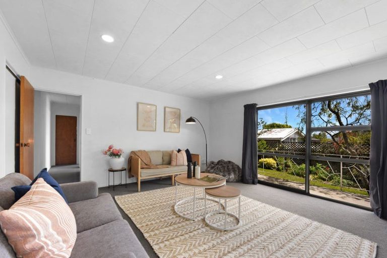 Photo of property in 10 Linden Court, Richmond, 7020