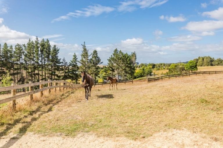 Photo of property in 128 Montrose Road, Kerikeri, 0293