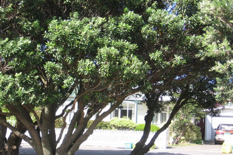 Photo of property in 52 Devonshire Road, Miramar, Wellington, 6022