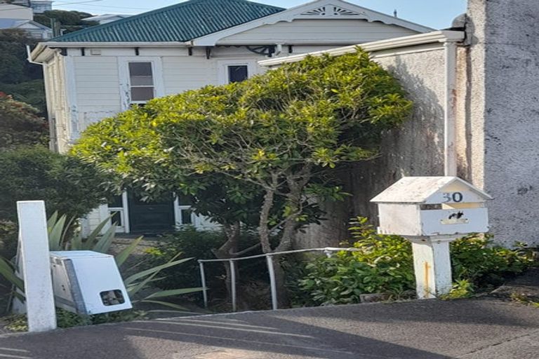 Photo of property in 30 Apuka Street, Brooklyn, Wellington, 6021