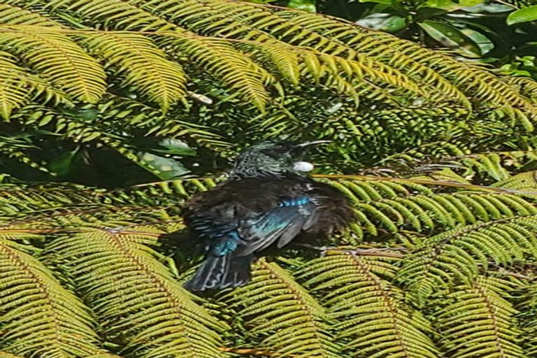 Photo of property in 96b Motuhara Road, Plimmerton, Porirua, 5026