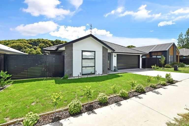 Photo of property in 171 Adler Drive, Ohauiti, Tauranga, 3112