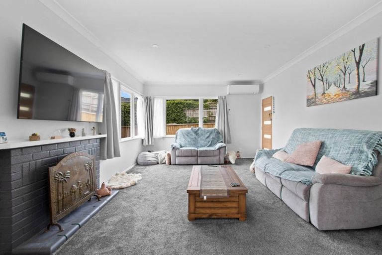 Photo of property in 20 Alison Street, Hamilton Lake, Hamilton, 3204