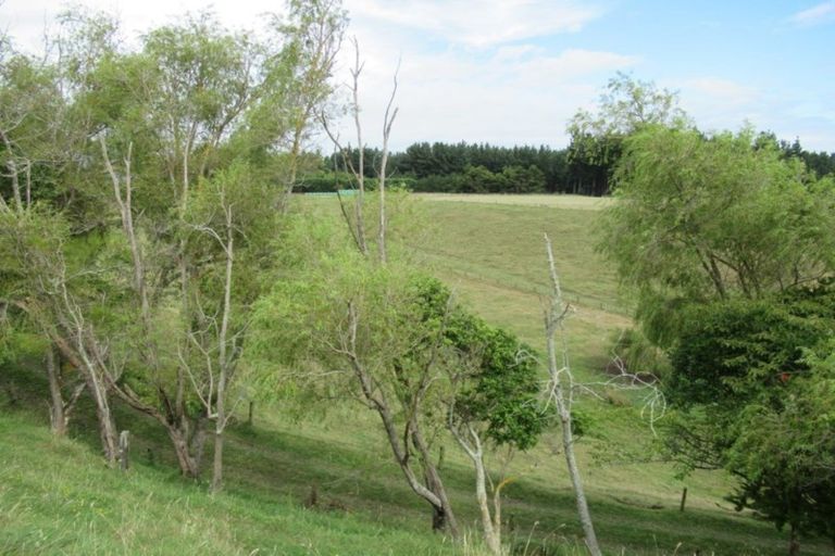 Photo of property in 81 Lindsay Road, Levin, 5510