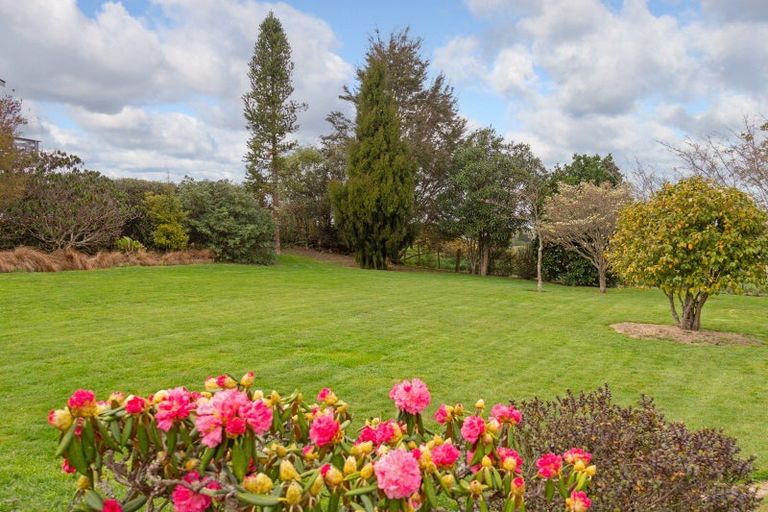 Photo of property in 5 Ngaio Place, Lansdowne, Masterton, 5810