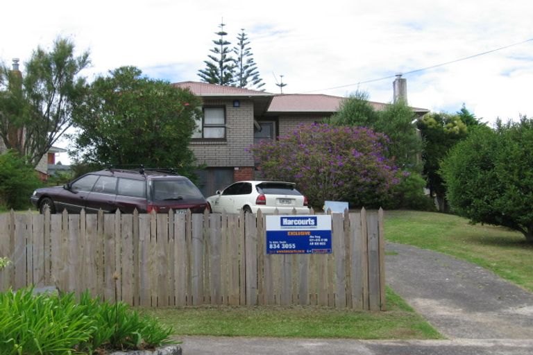 Photo of property in 52 Webster Avenue, Mount Roskill, Auckland, 1041