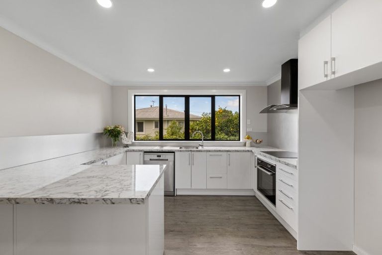 Photo of property in 22 Litchfield Street, Redwoodtown, Blenheim, 7201