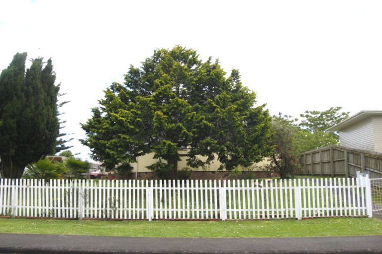 Photo of property in 45 Tatariki Street, Rosehill, Papakura, 2113